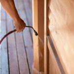 Termite Treatment 101: Protecting Your Property From Costly Damage