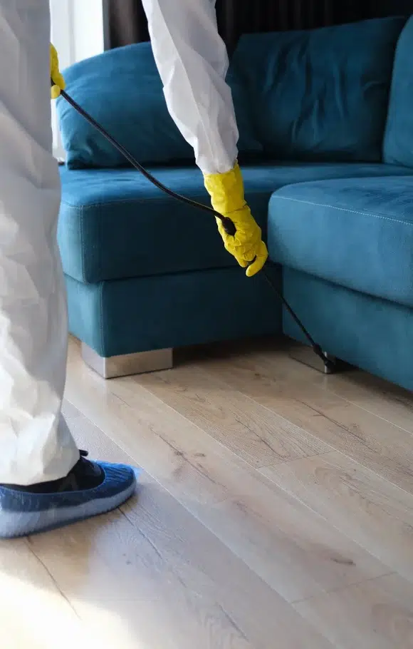 Termite Inspection for Property Managers 1